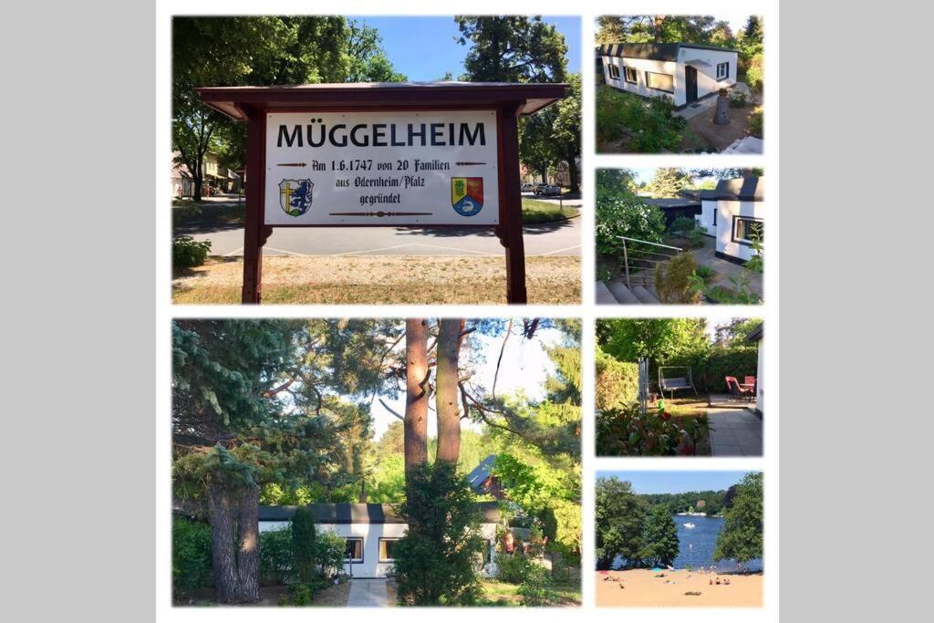 Ferienwohnung Green Garden ベルリン エクステリア 写真